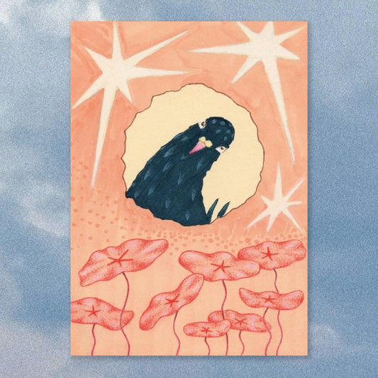 Pigeon Zine