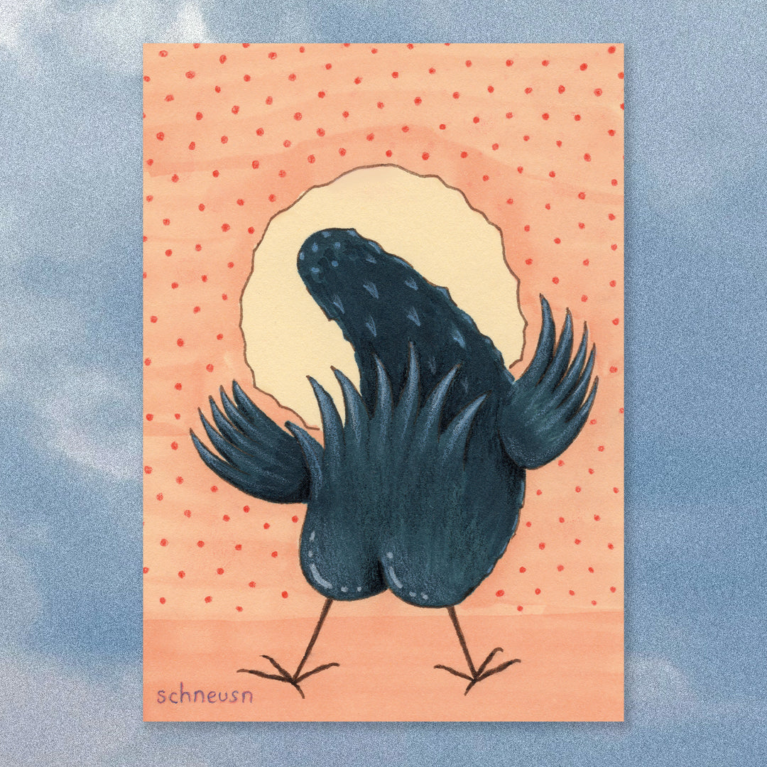 Pigeon Zine + Sticker Set
